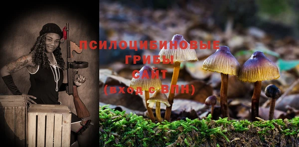 прущие крисы Арсеньев