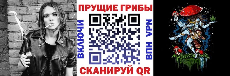 Галлюциногенные грибы Psilocybe  Купить закладки  Багратионовск 